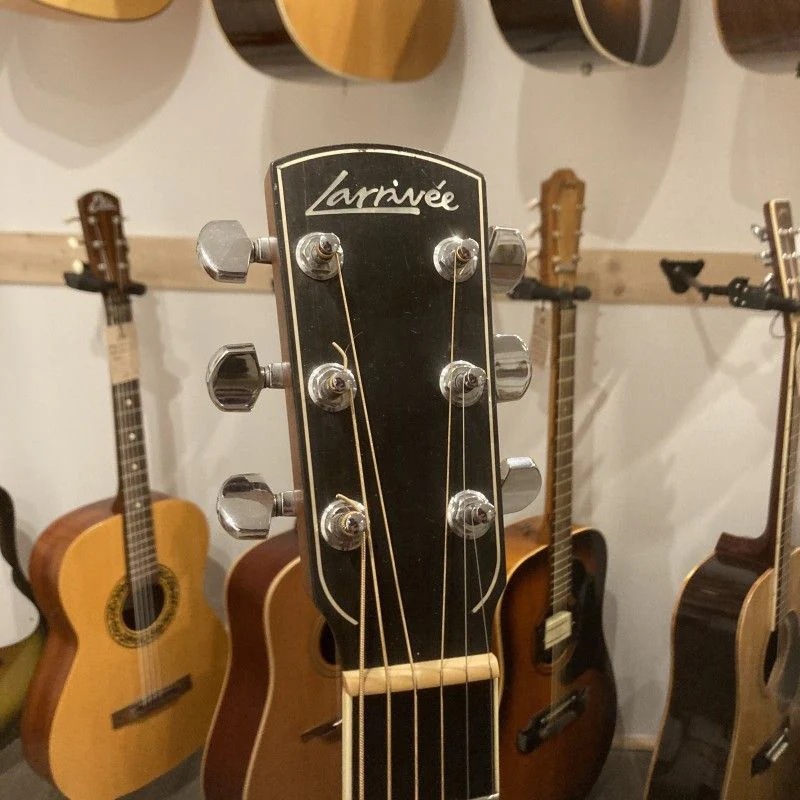 Larrivée LV-09E Rosewood Artist Series USA - Image 5