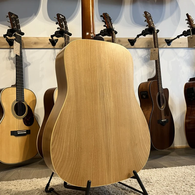 Norman Encore B20- 12 strings - Image 4