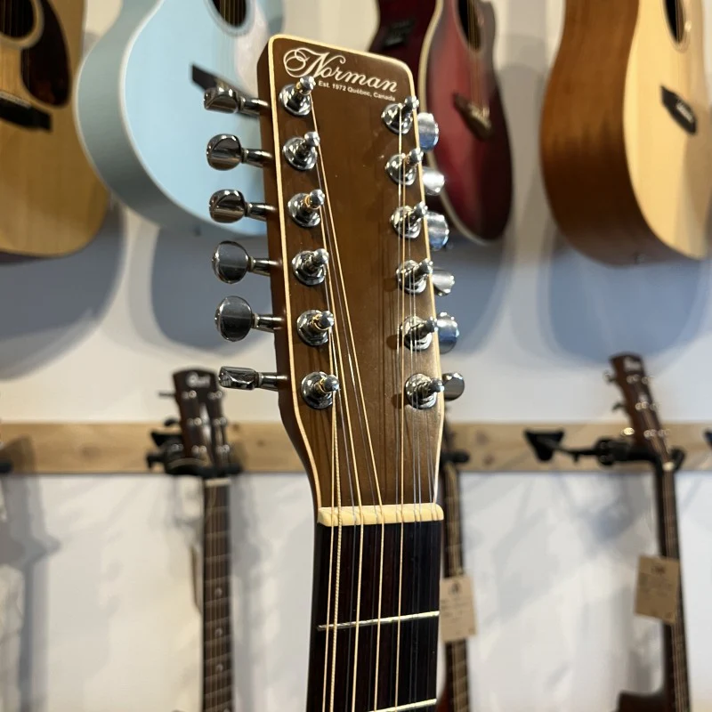 Norman Encore B20- 12 strings - Image 5