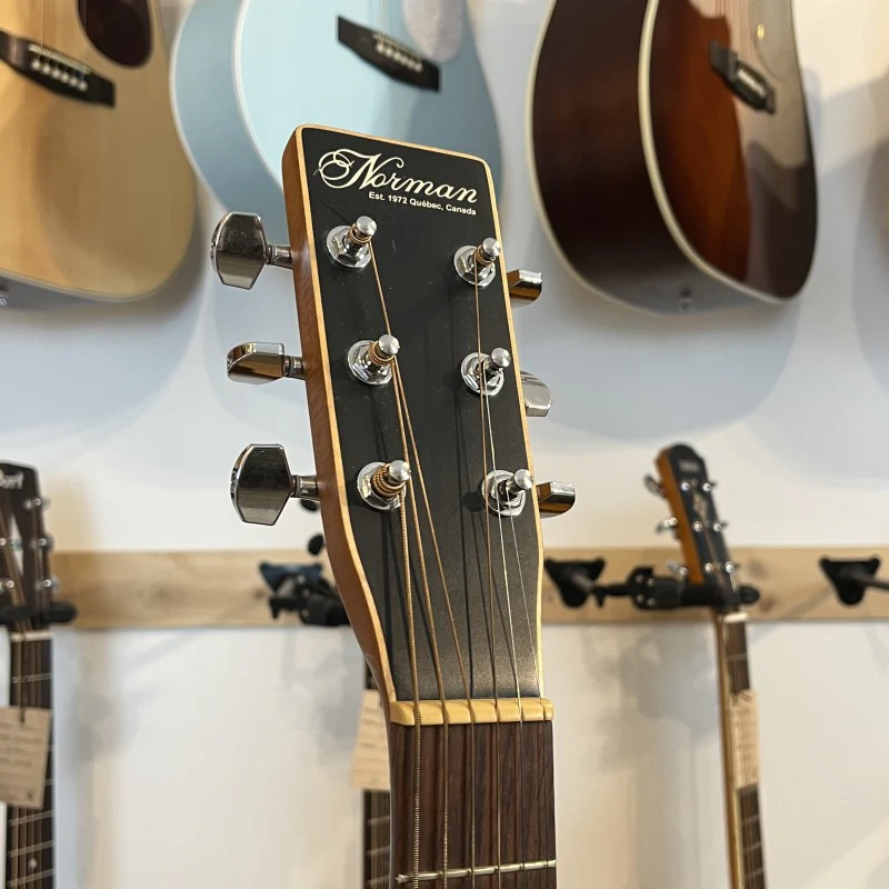 Norman Protege B18 Cedar - Image 3