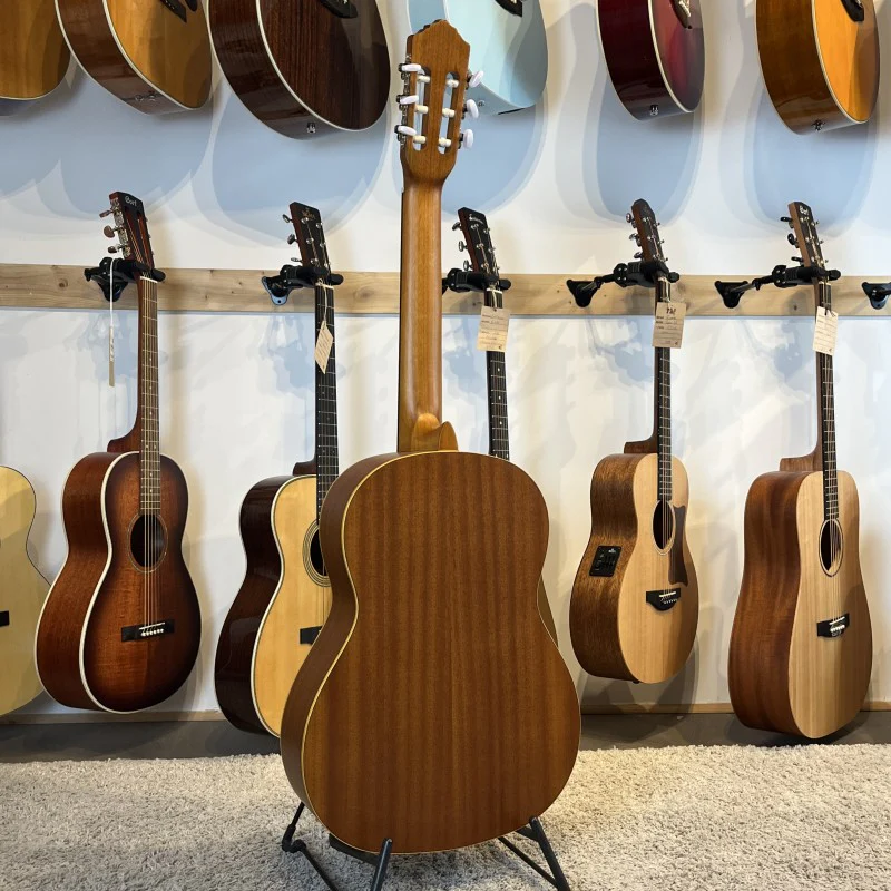 ORTEGA R121 NT - Image 4