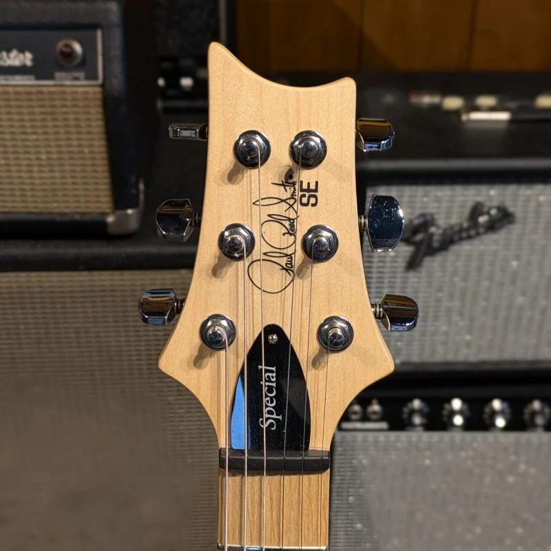 PRS SE Swamp Ash Special 2023 - Present - Charcoal - Image 5