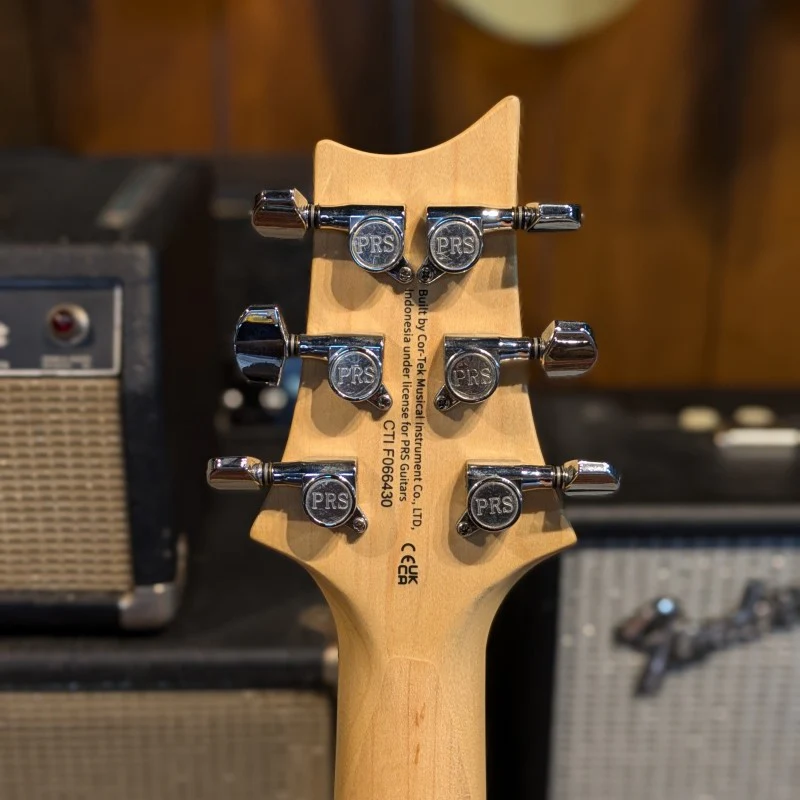 PRS SE Swamp Ash Special 2023 - Present - Charcoal - Image 6