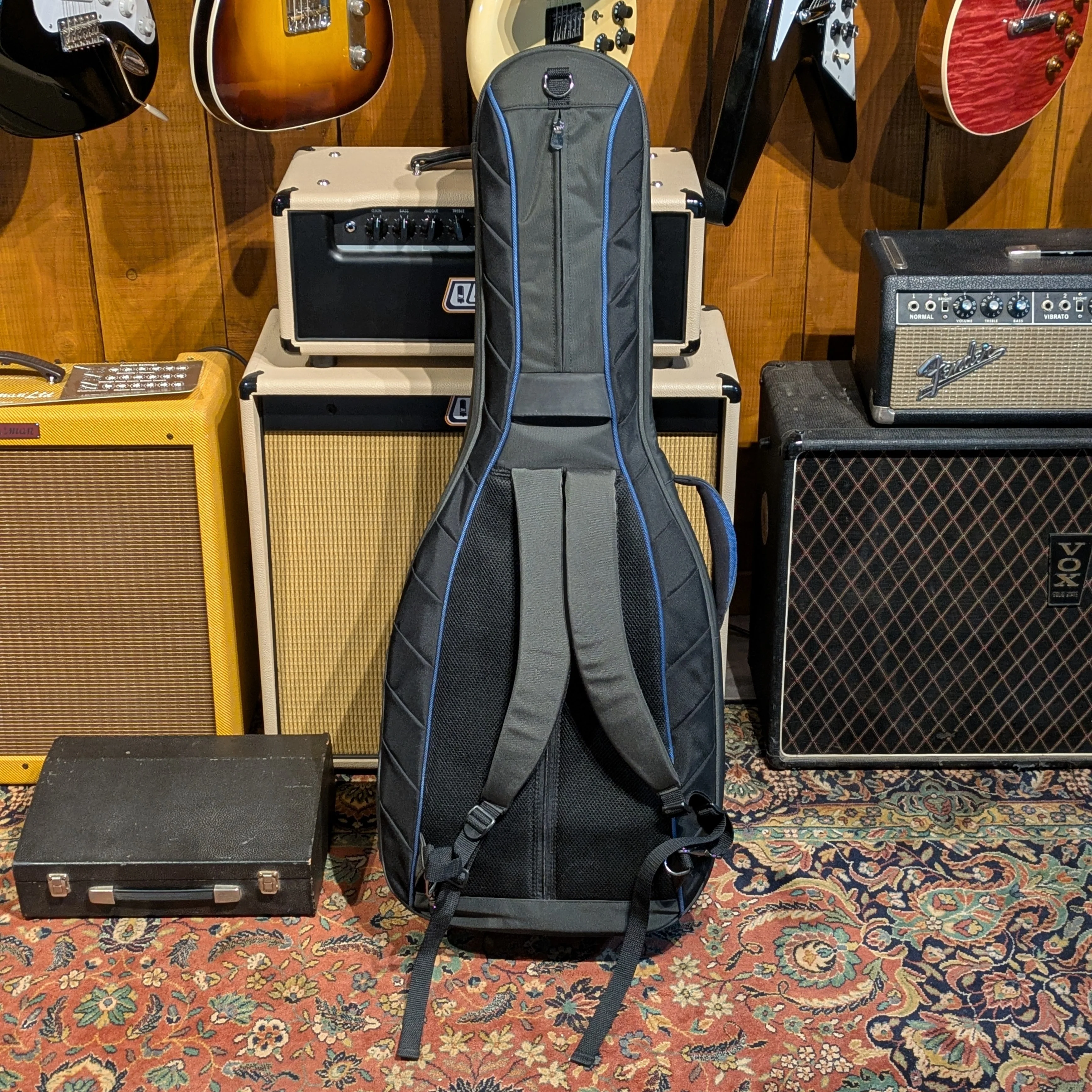 Reunion Blues RBC3 Classical Case - Image 3