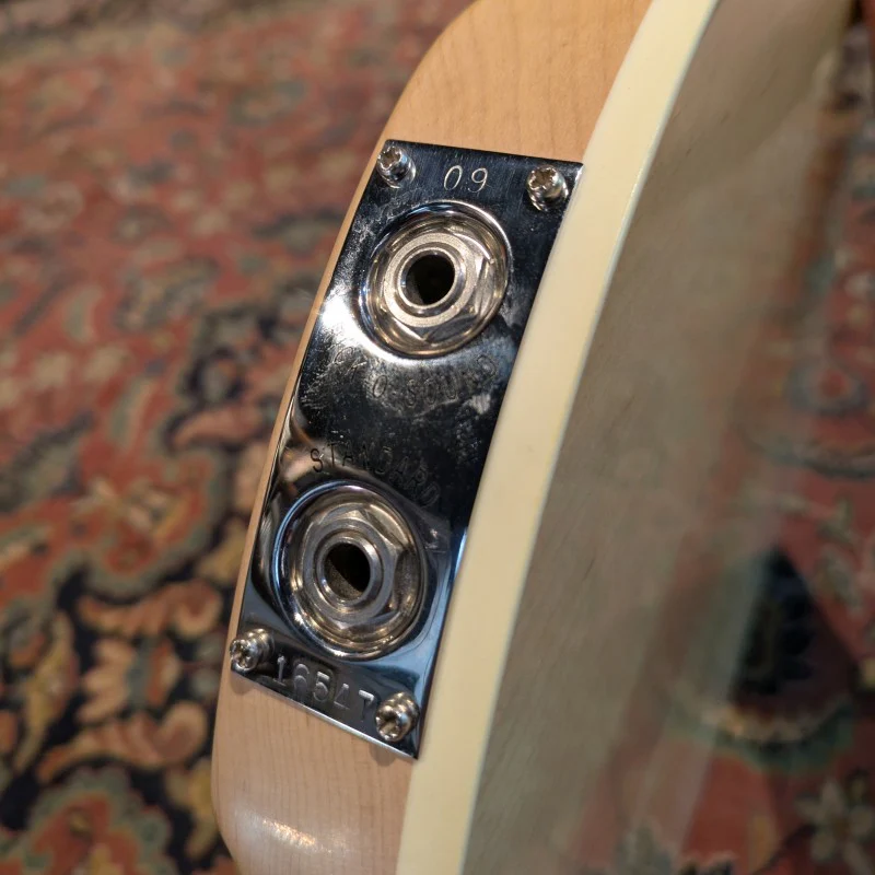 Rickenbacker 360/12 2009 - Mapleglo - Image 7