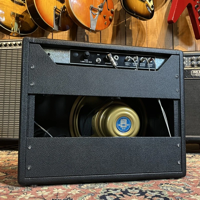 Sagarramp/TAD Princeton '64 Custom - Image 2