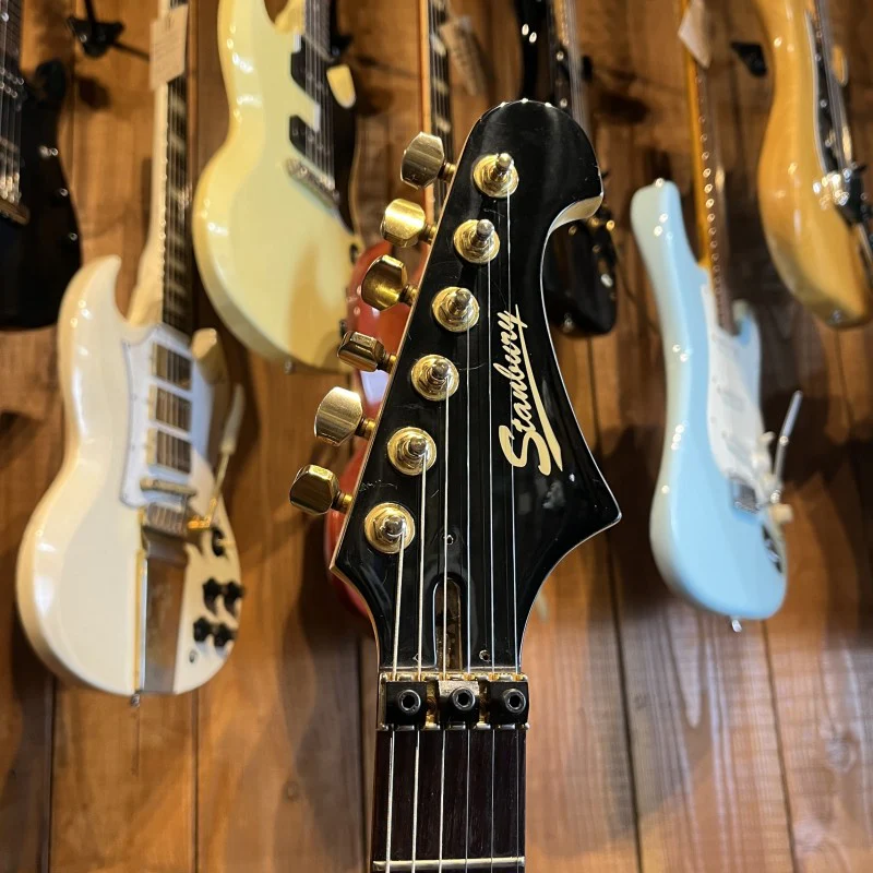 Stanbury Stratocaster Floyd Rose - Image 3