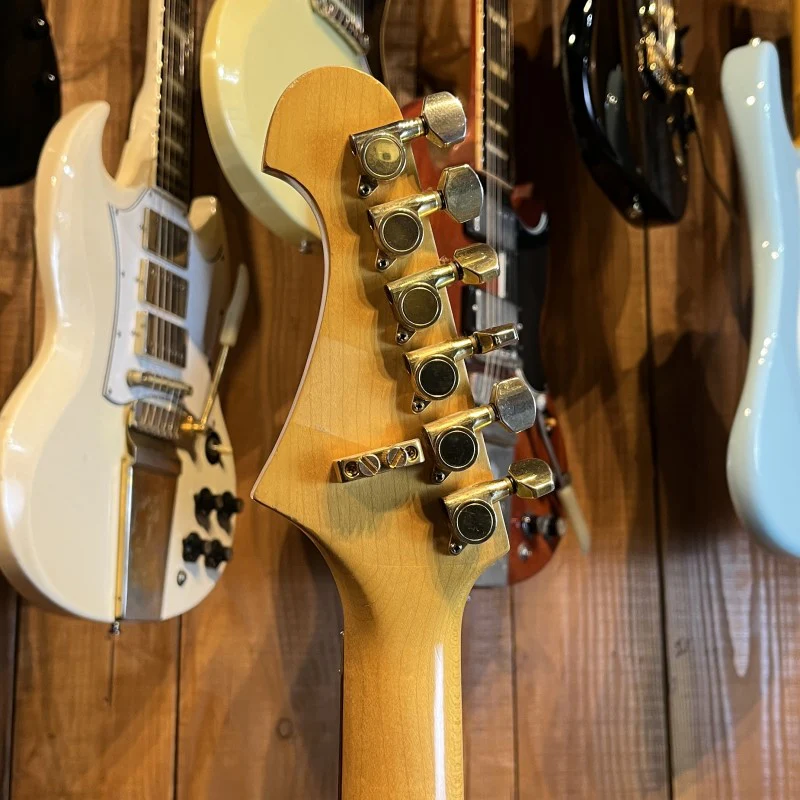 Stanbury Stratocaster Floyd Rose - Image 6