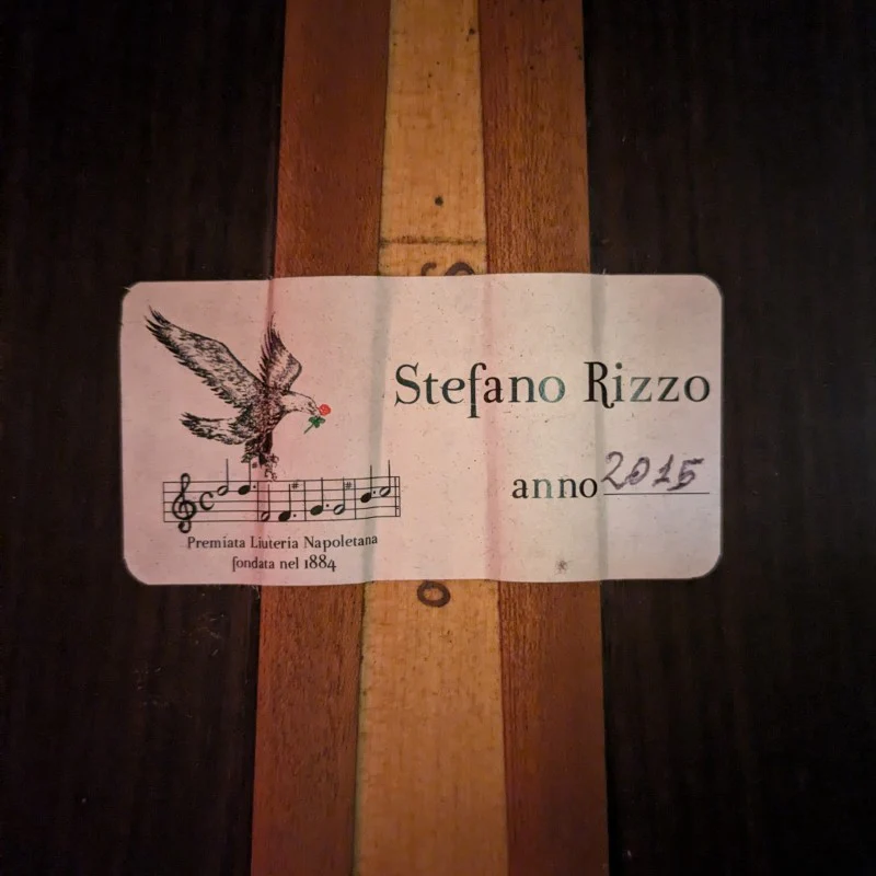 STEFANO RIZZO - TORRES 1887 - Image 9