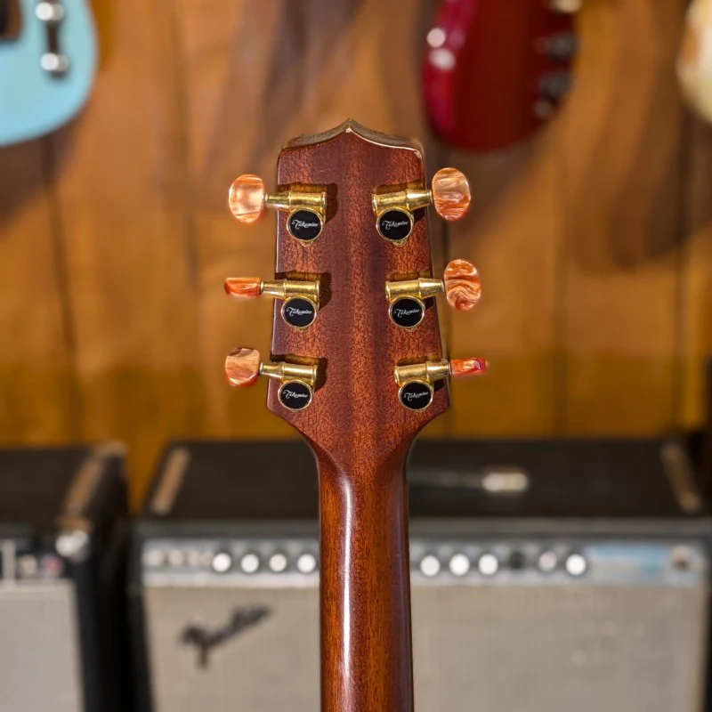 Takamine EN20 - Image 6