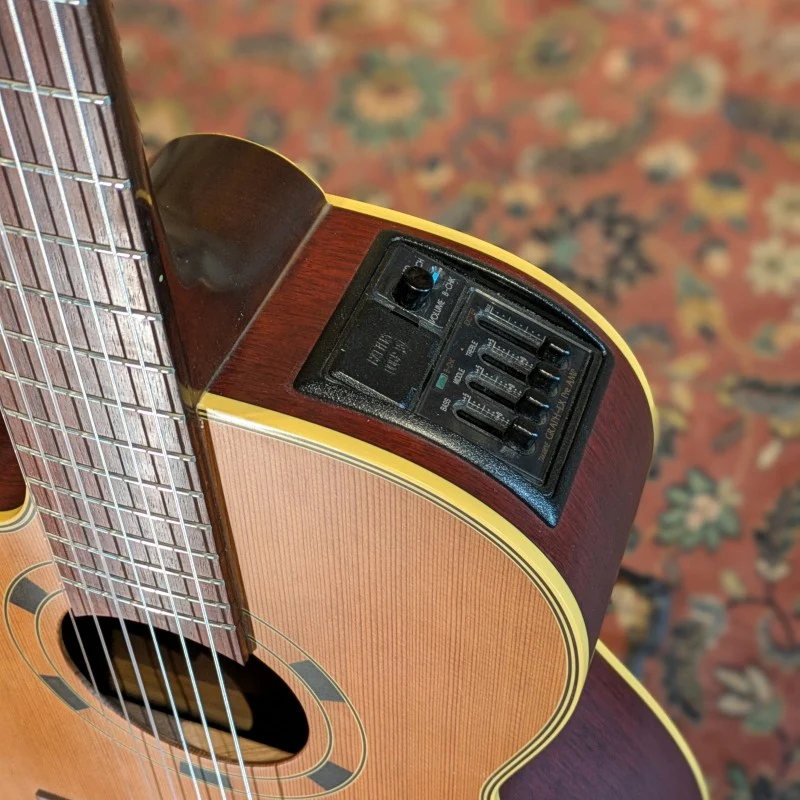 Takamine ENC60N Gaucher - Image 7
