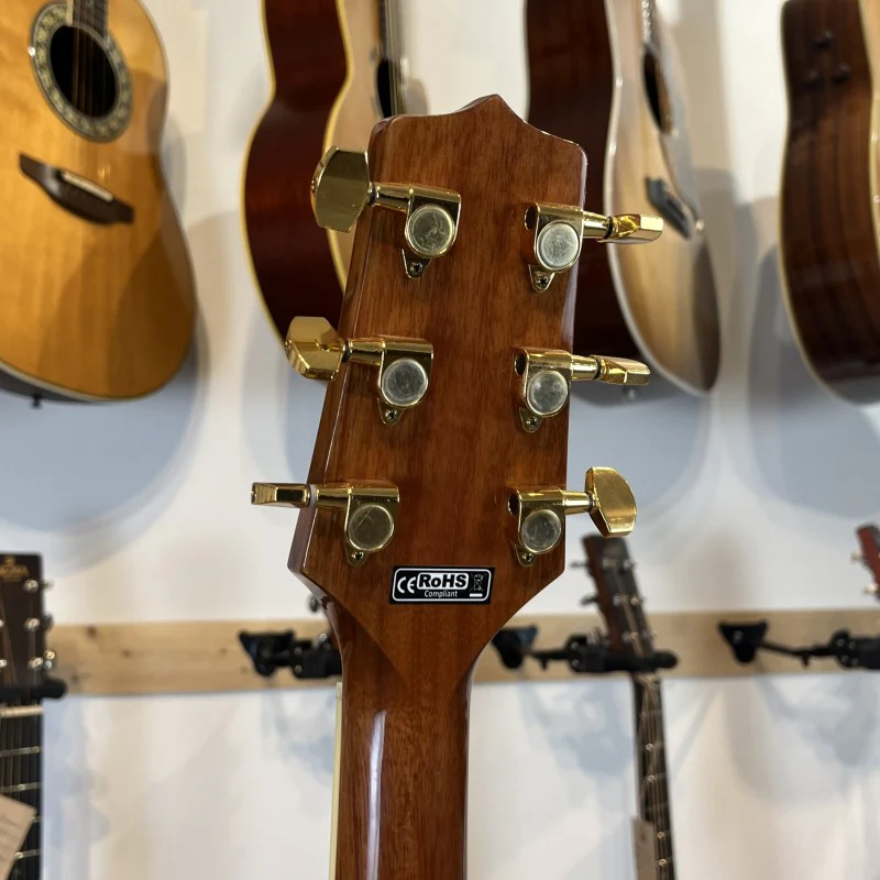 Takamine GD51 NAT Gaucher - Image 6