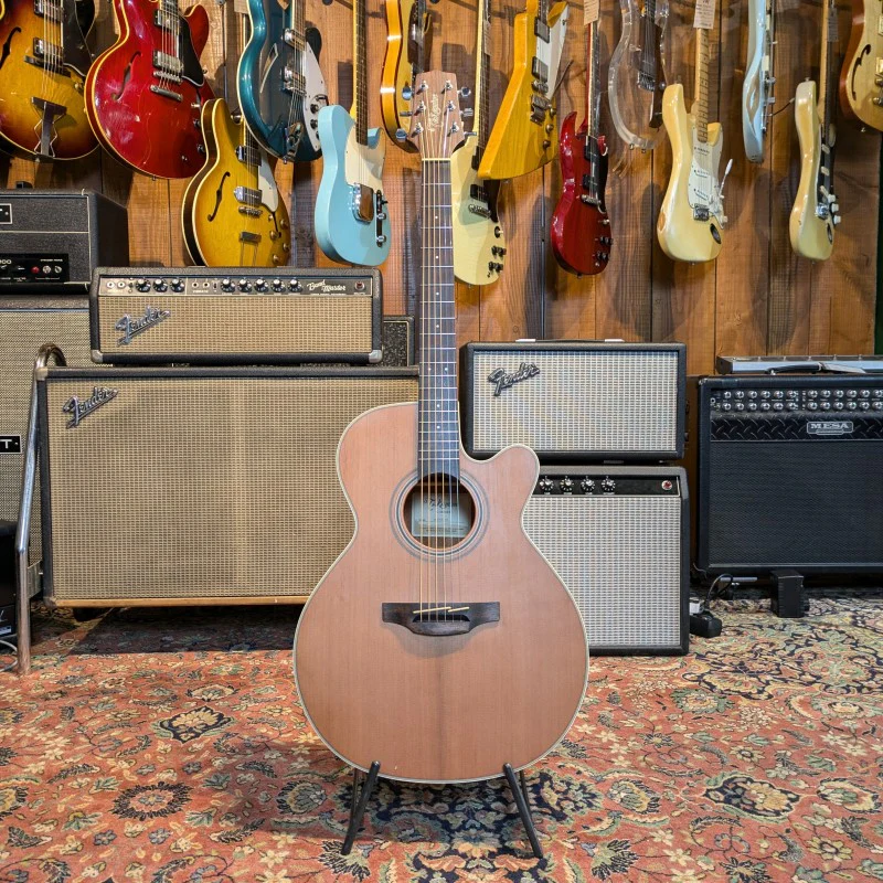 Takamine GN20CE NS G20 - Image 3