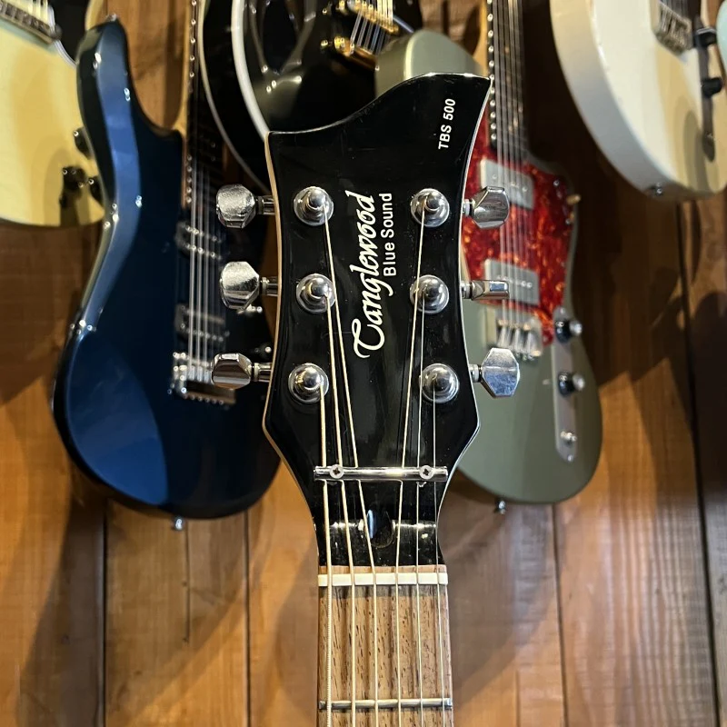 Tanglewood Resonator Blue Sound TBS-500 - Image 5