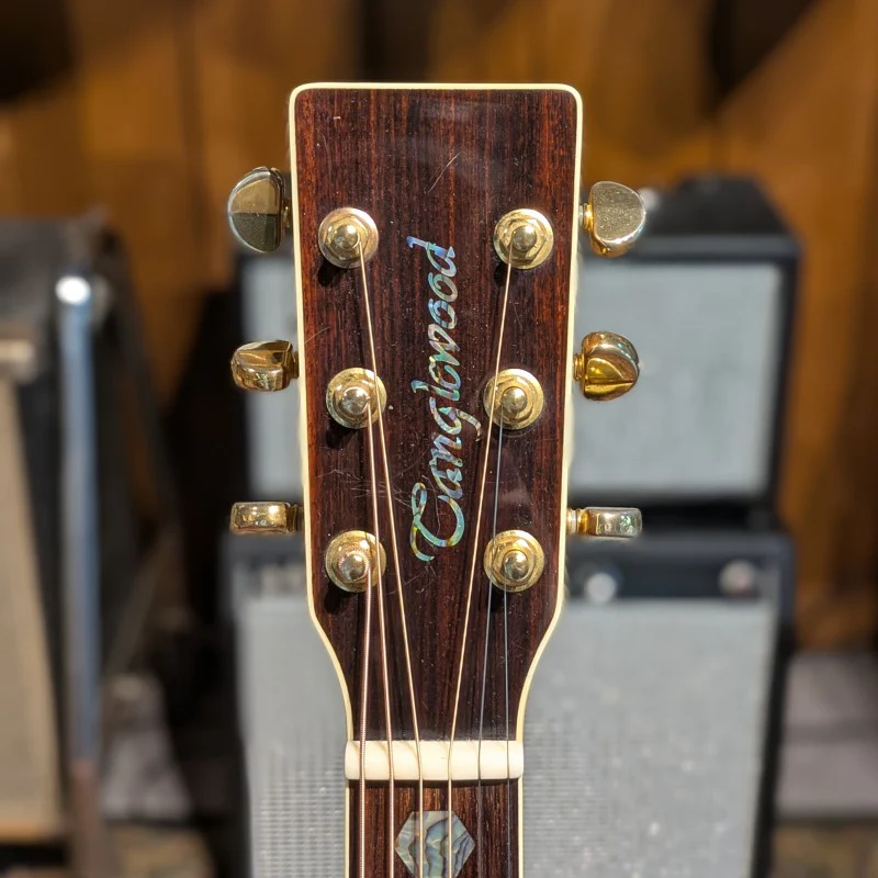 Tanglewood TW1000N - Image 5