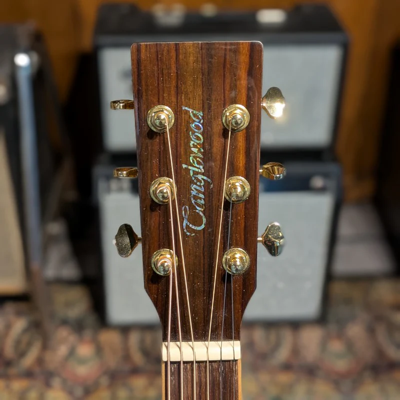Tanglewood TW170E - Image 5