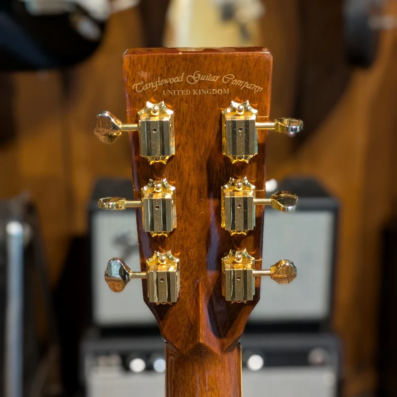 Tanglewood TW170E - Image 6