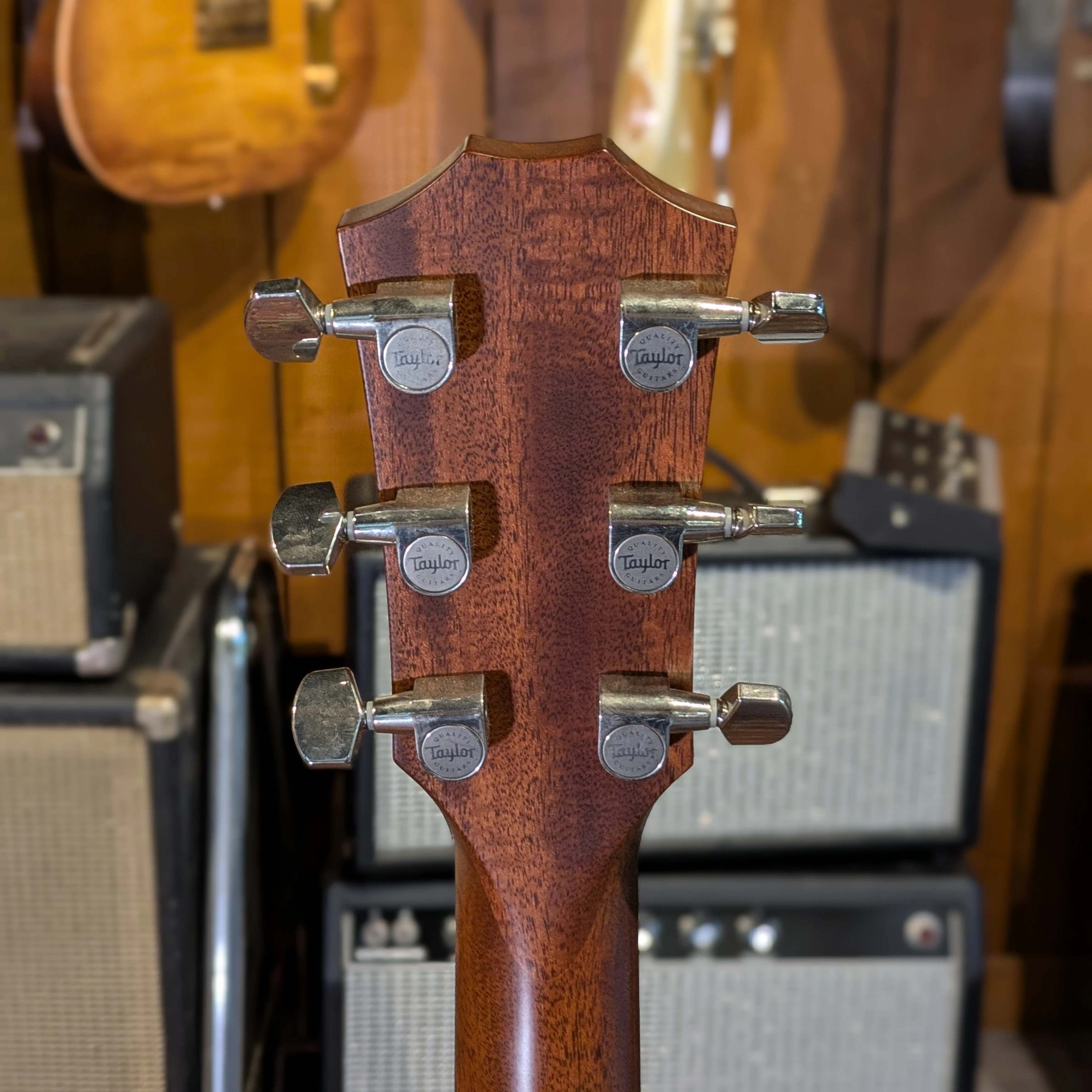 Taylor 326e Baritone-6 LTD - Image 6