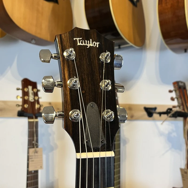 Taylor T5z Classic DLX with Tropical Mahogany Top 2022 - Shaded Edgeburst - Image 5