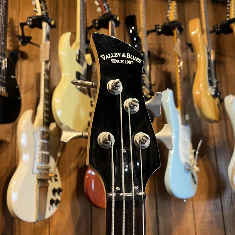 VALLEY AND BLUES BASS - Image 5