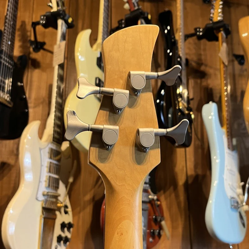 VALLEY AND BLUES BASS - Image 6