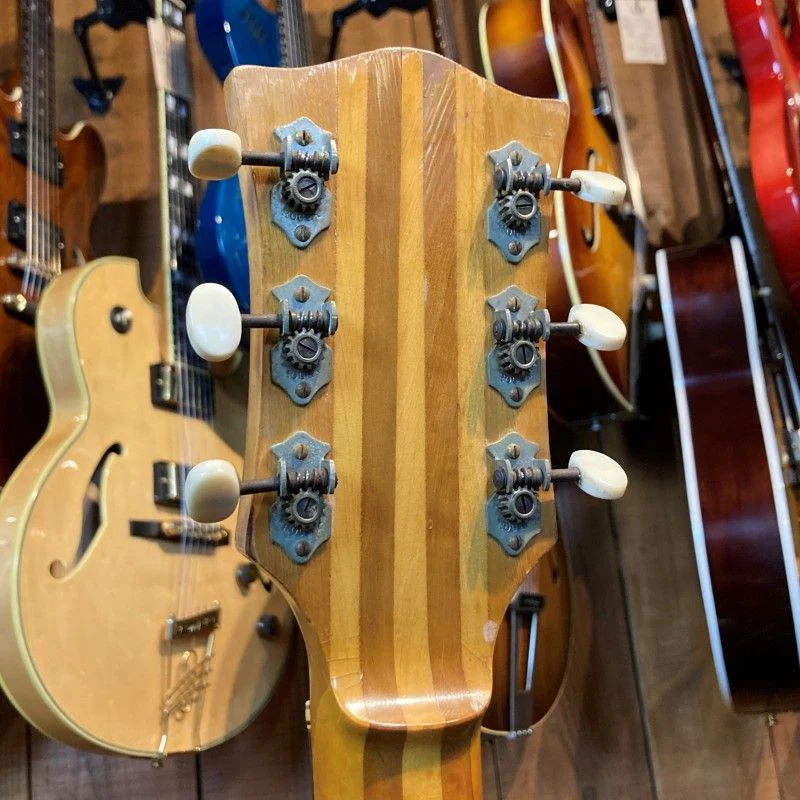 VINTAGE ROGER CUSTOM THINLINE 58-60'S - Image 6