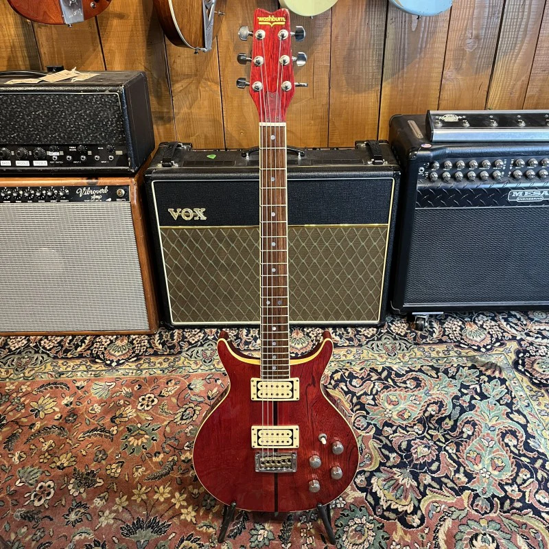 Washburn Hawk - Image 3