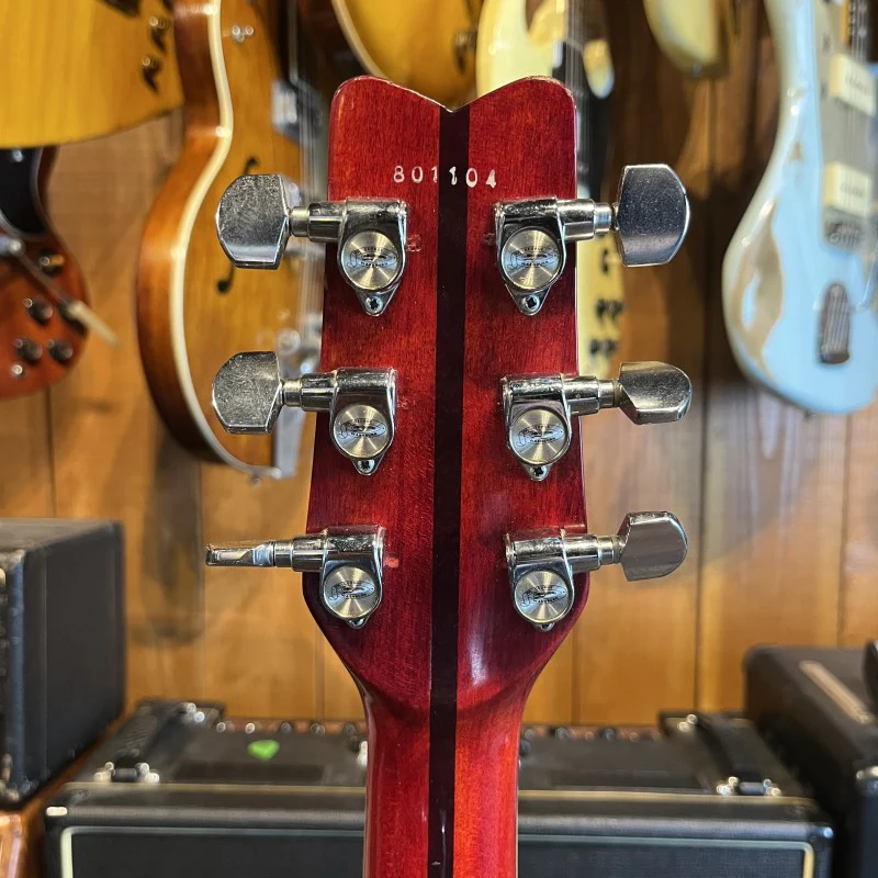 Washburn Hawk - Image 6