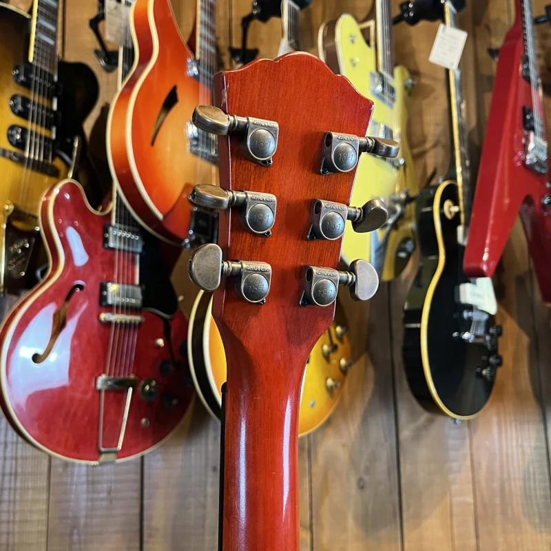 WASHBURN HB-32 - Image 6