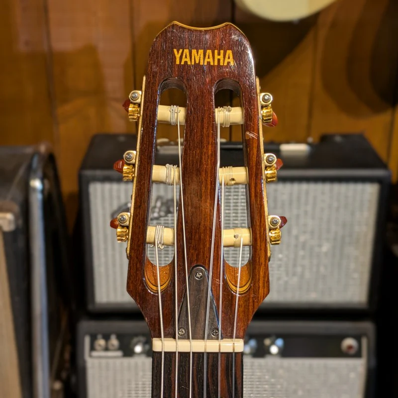 YAMAHA APX9 NA - Image 5