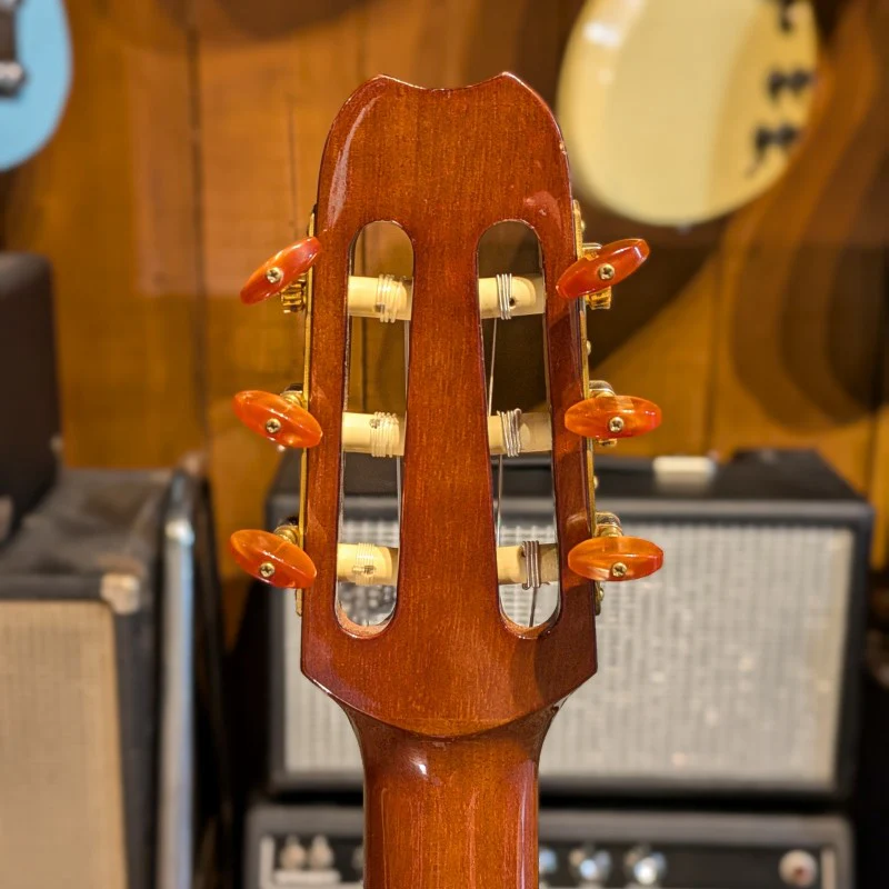YAMAHA APX9 NA - Image 6